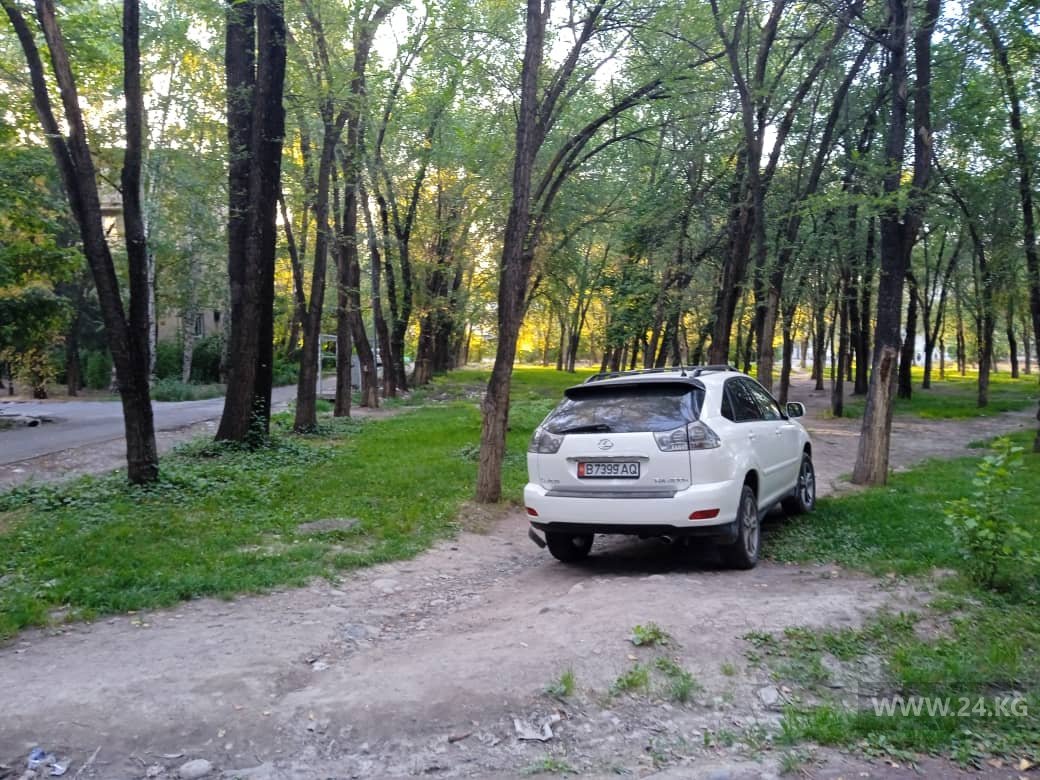 читателя 24.kg