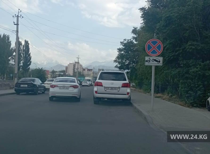 читателя 24.kg