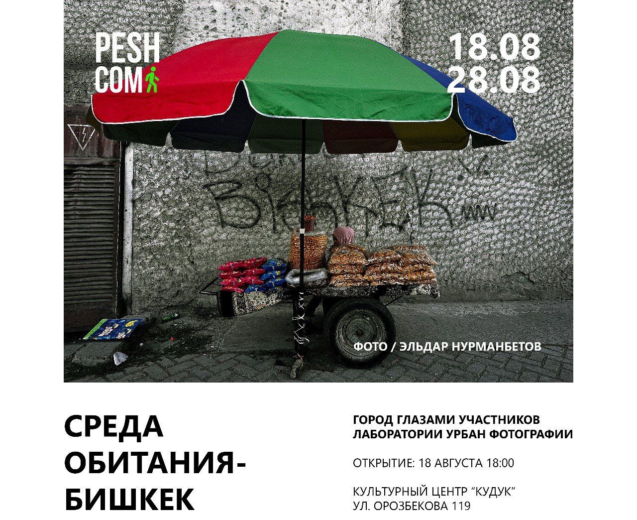 В столице откроется фотовыставка о проблемах города «Среда обитания — Бишкек»