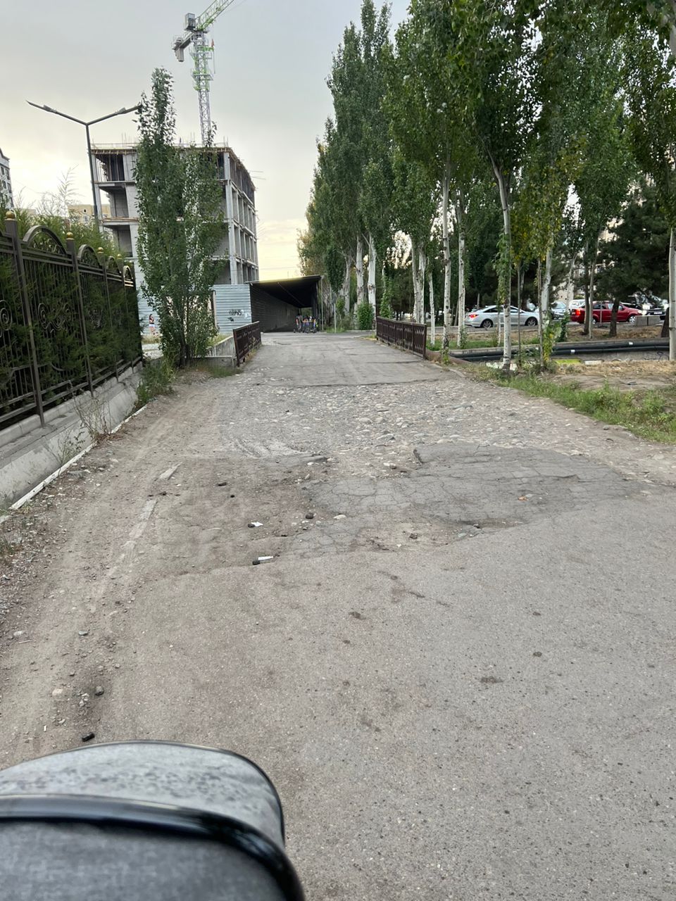 читательницы 24.kg
