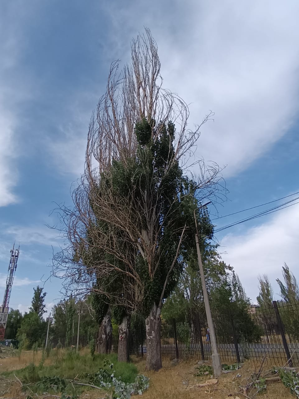 Фото Минприроды