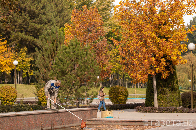 Узгидромет рассказал, когда в Узбекистане начинается настоящая осень