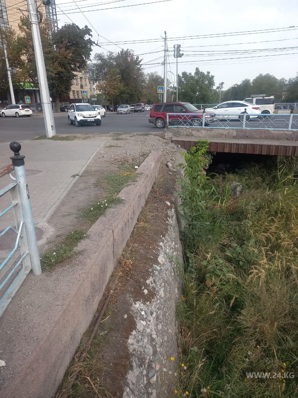 Фото читателя 24.kg. Река Ала-Арча