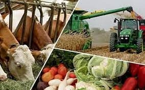 В Таджикистане за 9 месяцев произведено сельскохозпродукции на 107,9 %