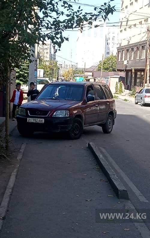 читателя 24.kg