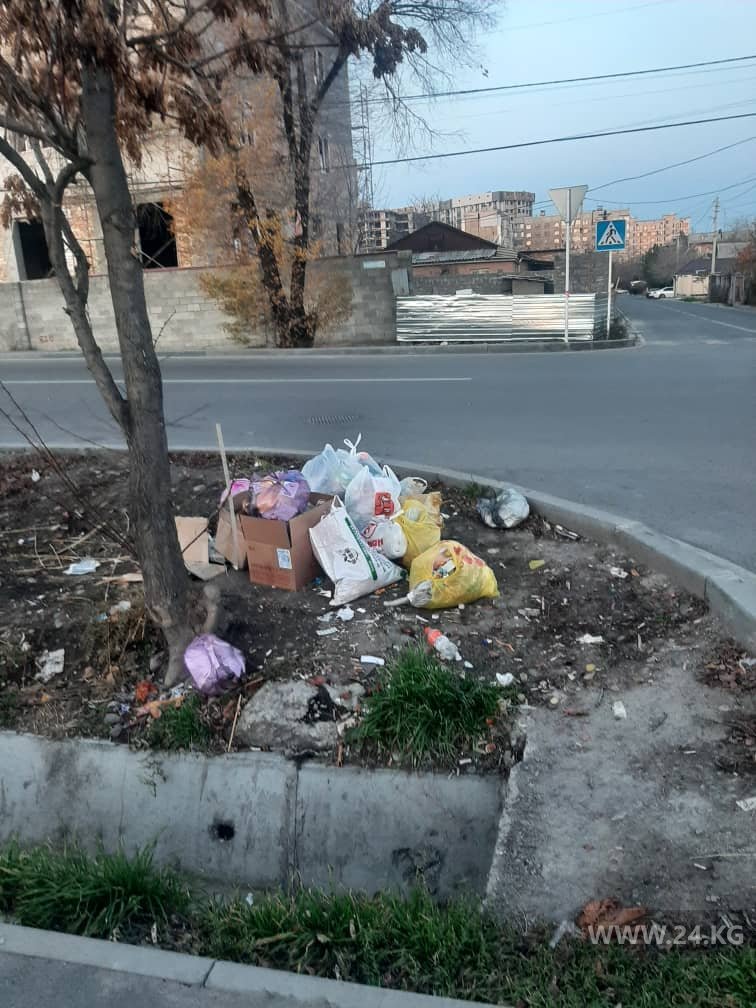 читателя 24.kg