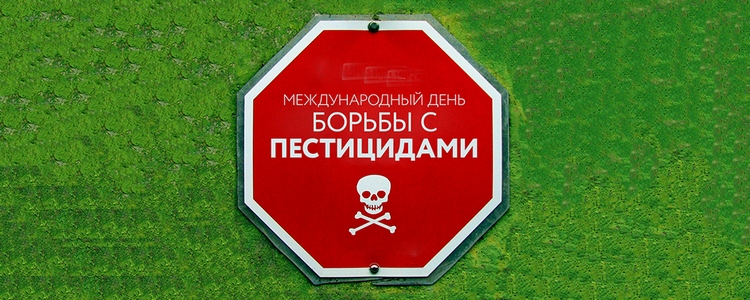 Сегодня в Бишкеке. Погода, мероприятия, даты