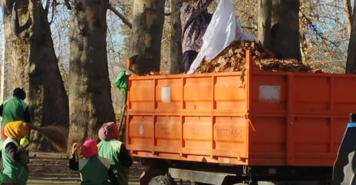 В Ховалингском районе провели акцию «Чистота местности» и посадили саженцы