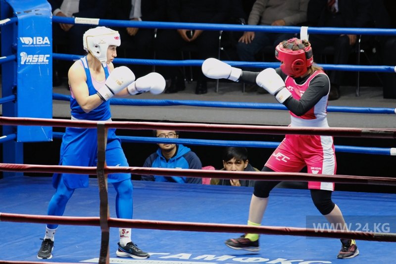 Фото 24.kg. Чемпионат Кыргызстана по боксу