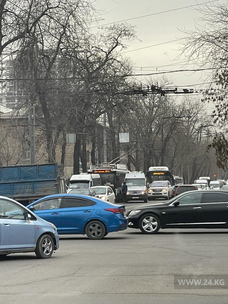 читателя 24.kg