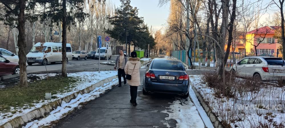 читателя 24.kg