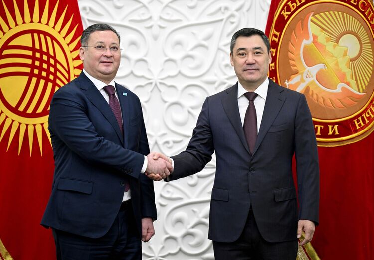 Садыр Жапаров принял главу МИД Казахстана Мурата Нуртлеу