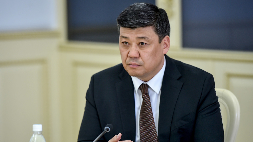Зампред кабмина Бакыт Торобаев встретился с послами ряда стран