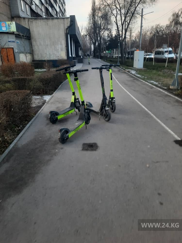 читателя 24.kg