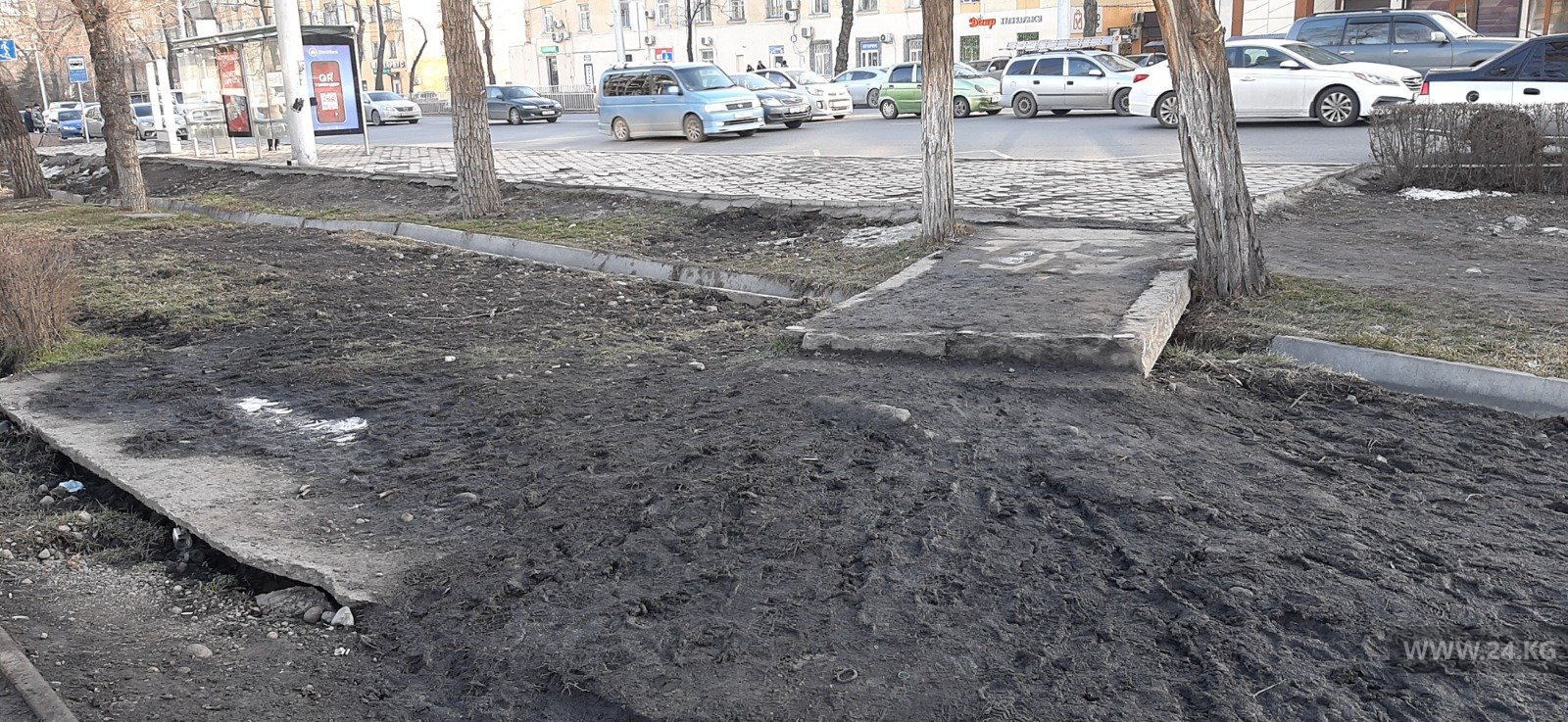 читателя 24.kg