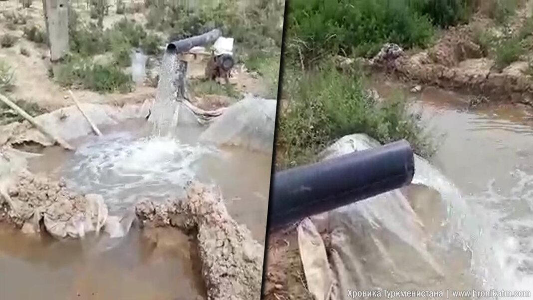 2023_04_17_water_field_03 Туркменистан накопил сверхбольшие объемы воды в водохранилищах