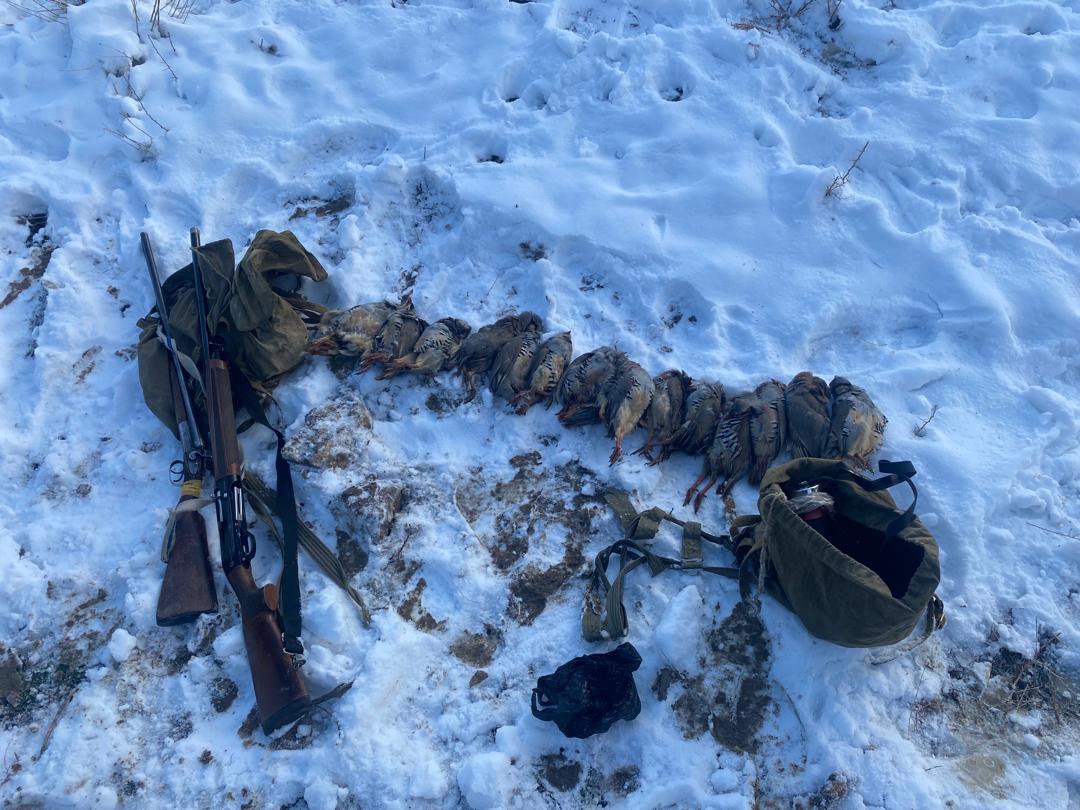 В Кадамджае местные жители застрелили более 10 куропаток. Их задержали