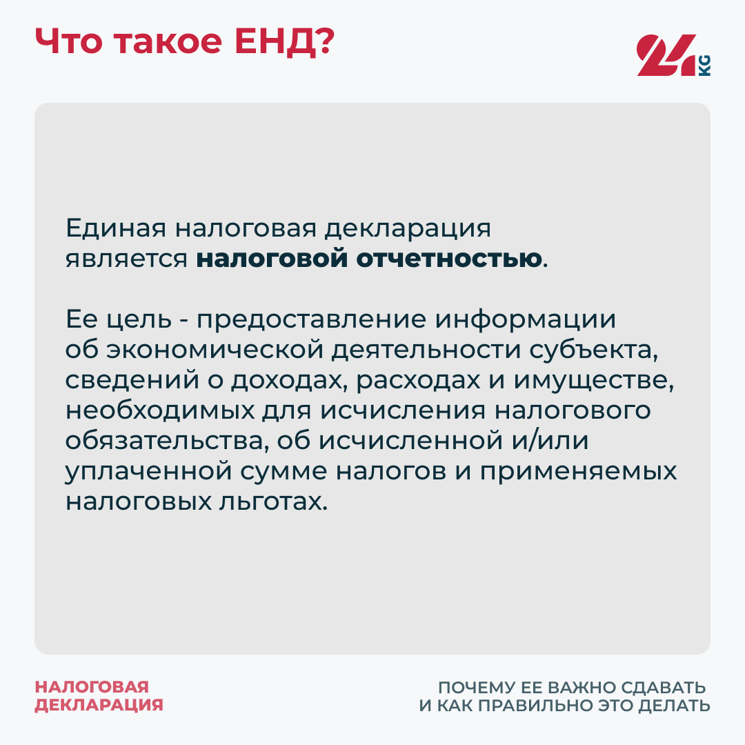 Налоговая декларация. Почему ее важно сдавать и как правильно это делать
