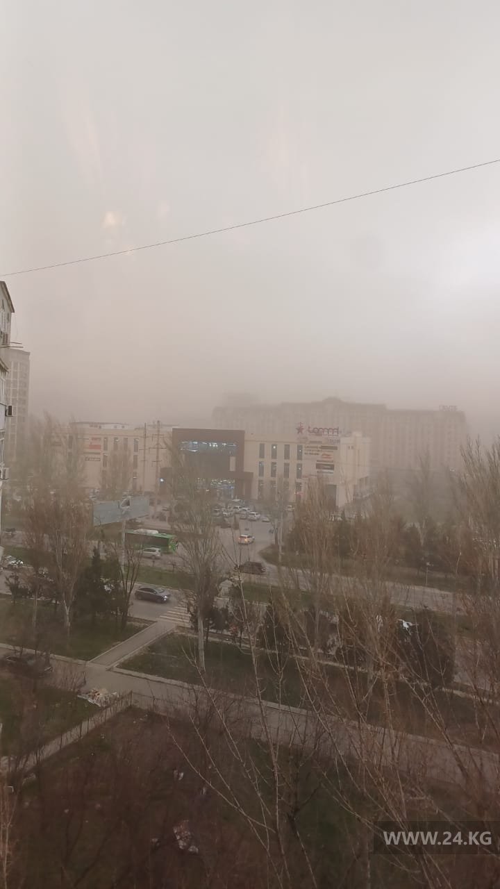 Фото читателя 24.kg. Ветер в Бишкеке