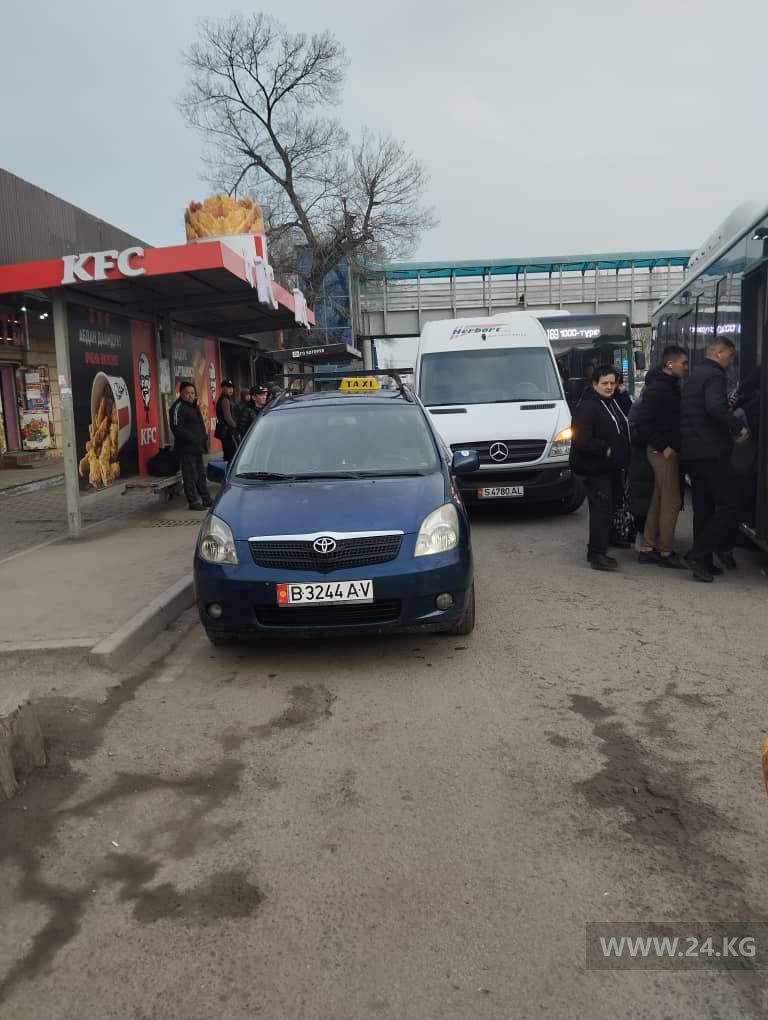 читателя 24.kg