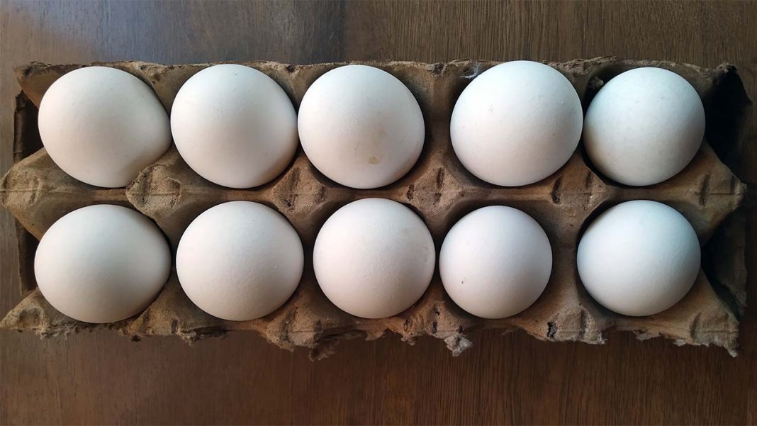 2021_11_05_eggs_01 В Ашхабаде на 50% подорожали яйца