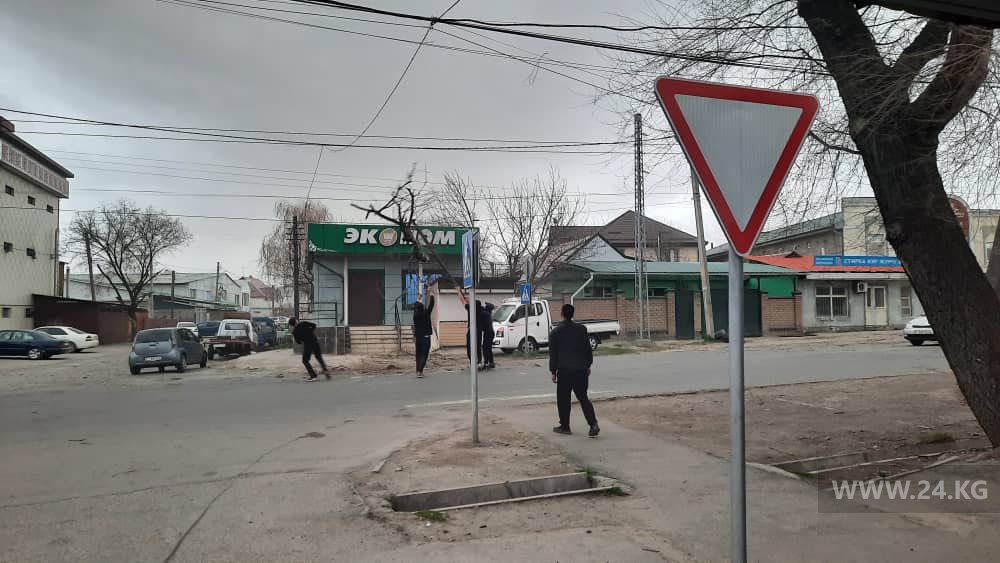 Фото читателя 24.kg. Ветер в Бишкеке