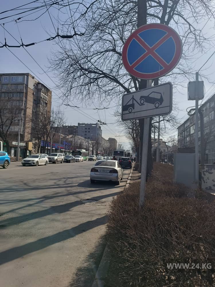 читателя 24.kg