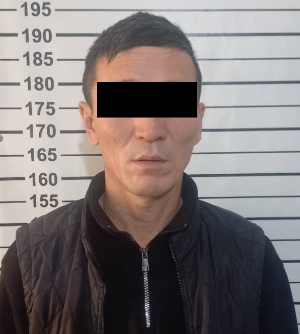 В Сокулуке пастух обманом завладел крупным рогатым скотом на 250 тысяч сомов
