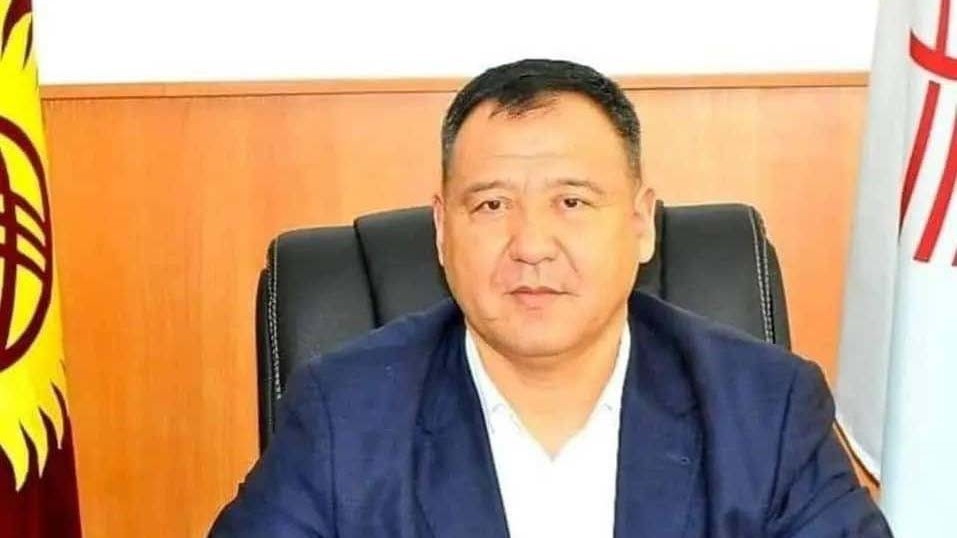Досрочные выборы. Кто станет депутатом парламента (предварительные данные)