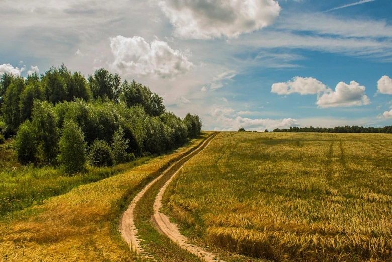 Та сторона, где сердце