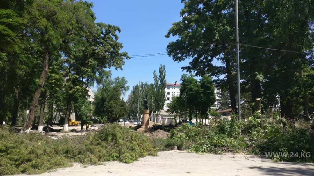 Фото читателя 24.kg. Вырубка деревьев в Бишкеке