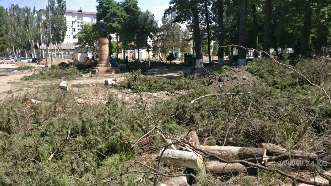 Фото читателя 24.kg. Вырубка деревьев в Бишкеке