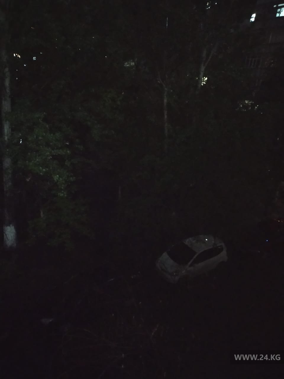 читателя 24.kg
