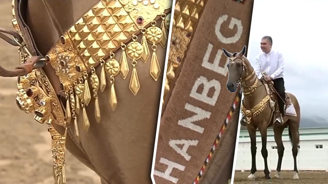 2024_06_28_horse_hanbeg_01 Г.Бердымухамедов покатался на коне, утвердил строительные проекты и получил в подарок ковер «за ценные советы опытного врача»