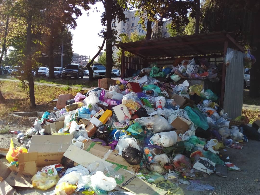 Фото читателя 24.kg. Мусор не вывозят уже вторую неделю
