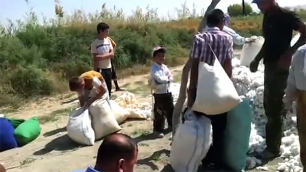 children_cotton6541 Туркменистан запретил использование детского труда при сборе хлопка