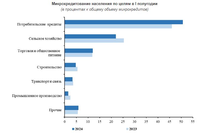 В Кыргызстане микрокредиты по-прежнему чаще берут на потребительские нужды