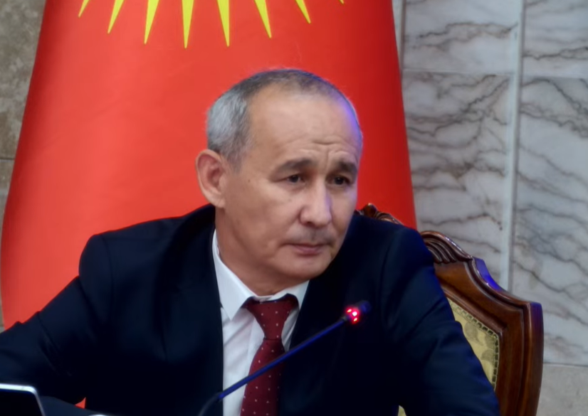 Кандидат на должность главы Минприроды поддержал предложение по ограничению авто по госномерам