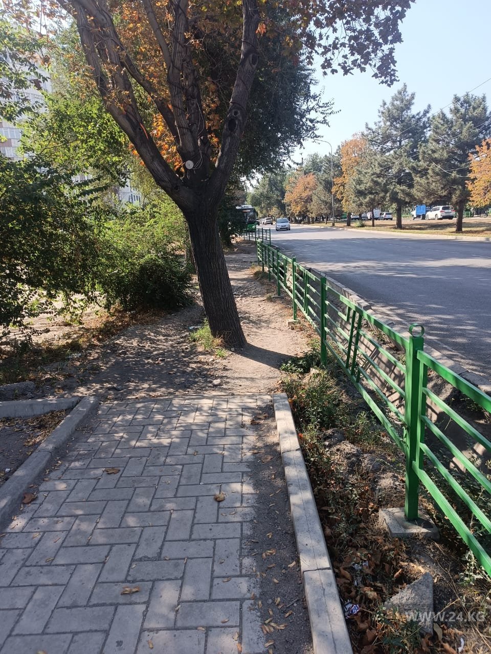 Фото читателя 24.kg. Тротуары в Бишкеке