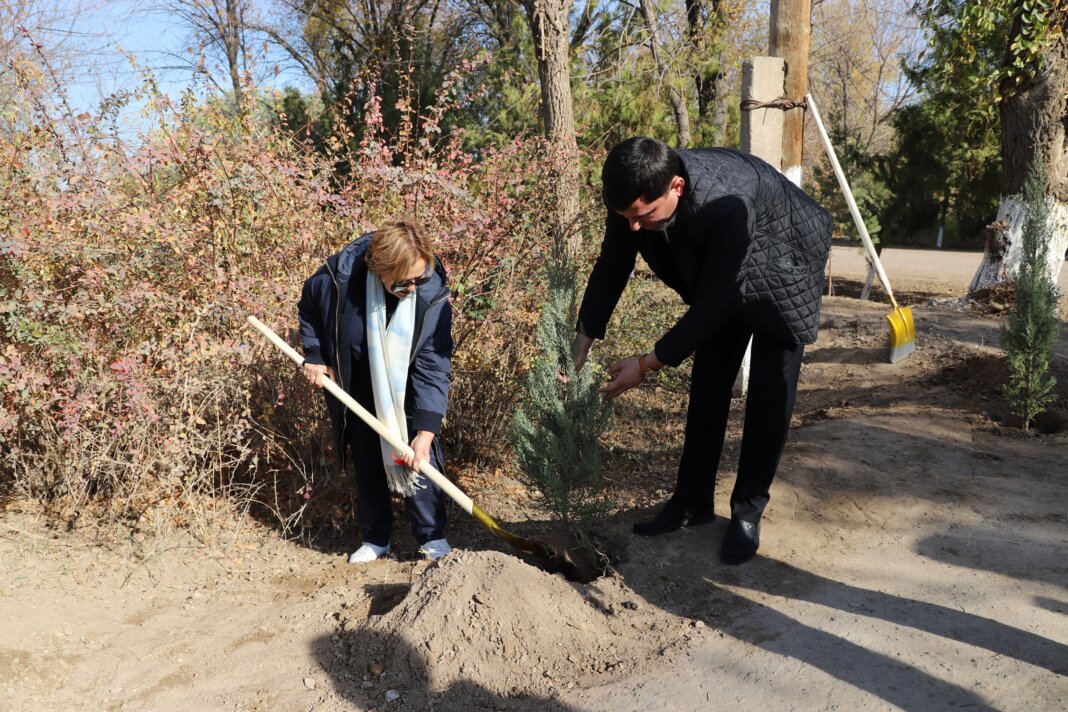 2024_11_11_undp_dashoguz В Дашогузе постпред ПРООН в Туркменистане обсудила проблему нехватки воды и посадила дерево