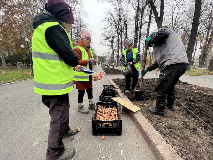 Рекордное количество тюльпанов на клумбах обещает мэрия Бишкека в 2025 году