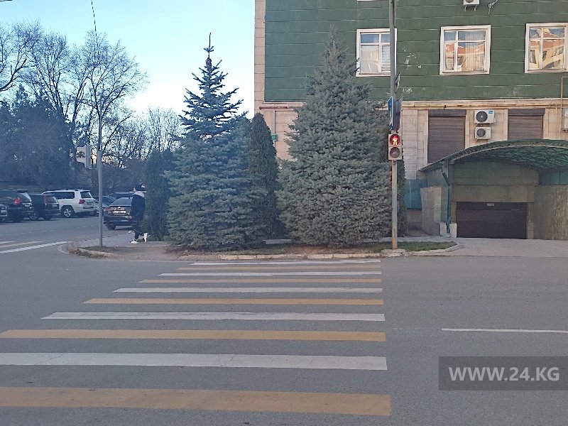 читателя 24.kg