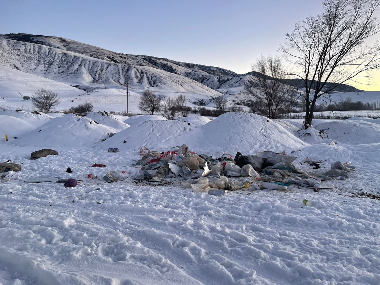Задымление и останки животных выявили на свалках Аксыйского района