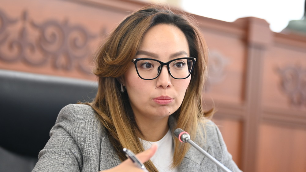 Айсулуу Мамашова: Кыргызстан не вмешивается во внутренние дела других стран