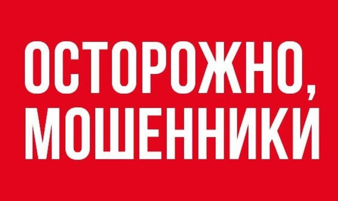 Осторожно, мошенники! Налоговая служба просит кыргызстанцев проверять информацию