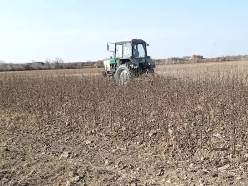 Производителям хлопка в Байрамалийском этрапе Марыйского велаята не разрешили забрать гузапая