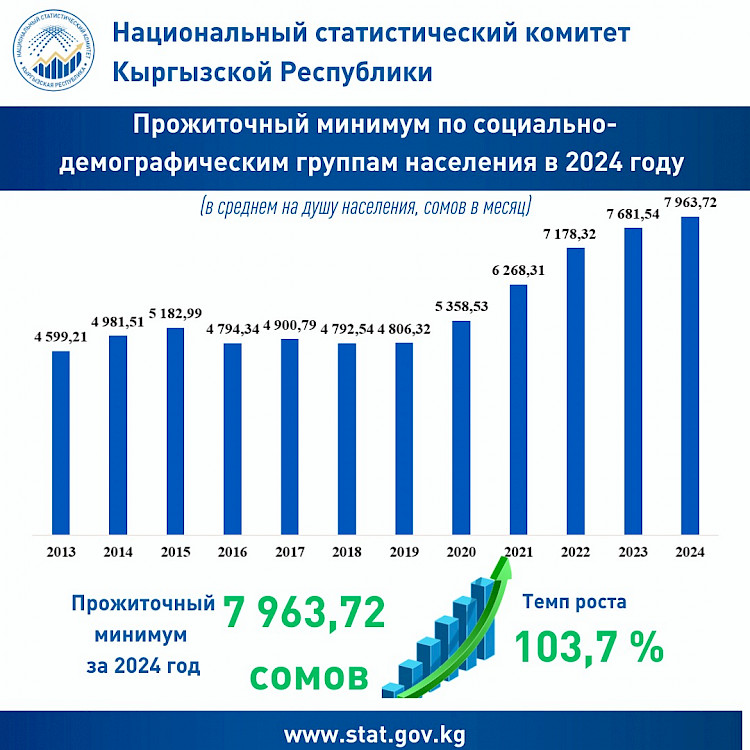 Нацстатком озвучил уровень прожиточного минимума в Кыргызстане
