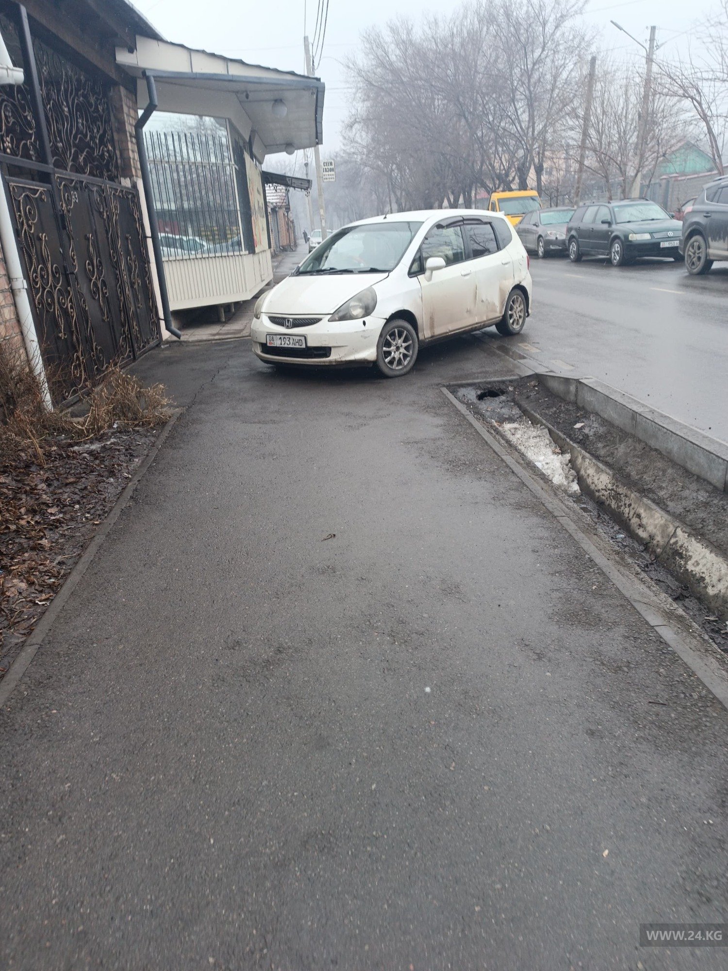 читателя 24.kg