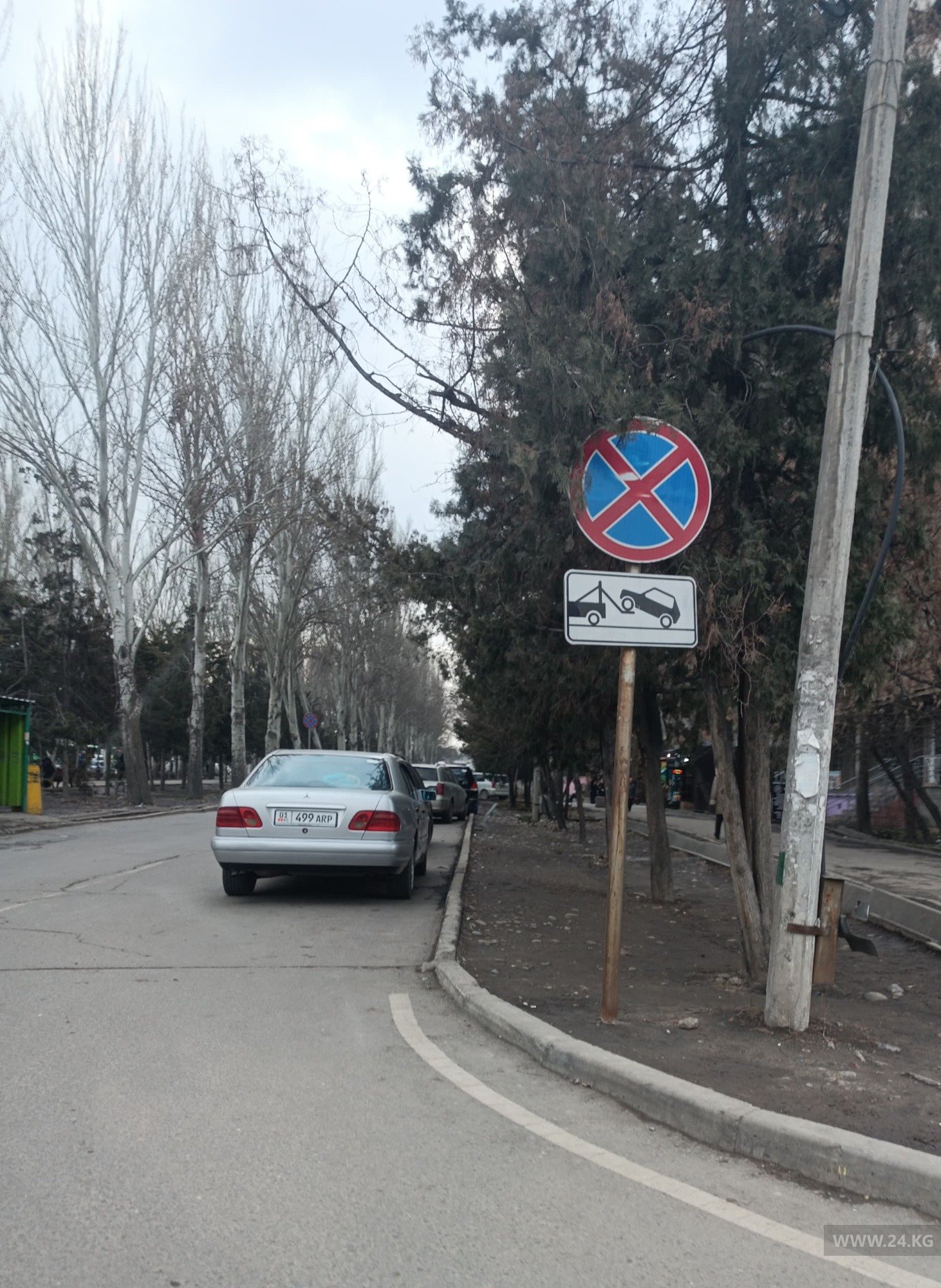 читателя 24.kg
