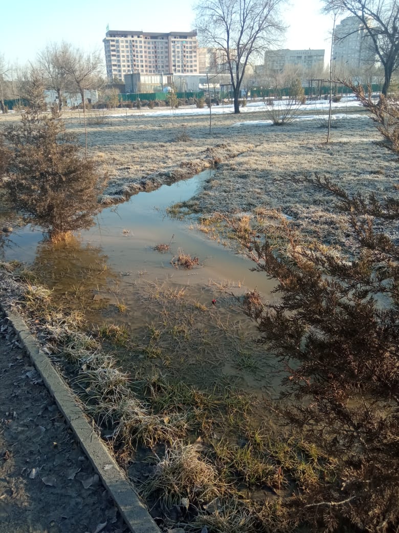 читателя 24.kg
